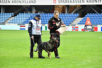 Lynxfelsen Bando
