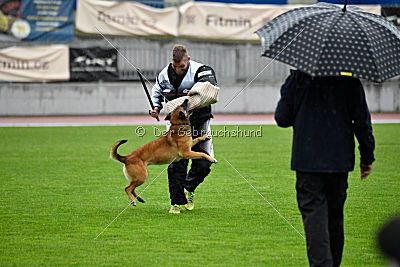 Lúa de la Plume de Neige