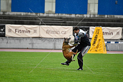 Lúa de la Plume de Neige