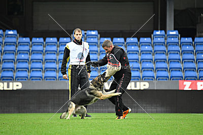 Mad Max von der Winterschal