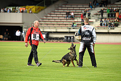 Maffia van Blutsenhof