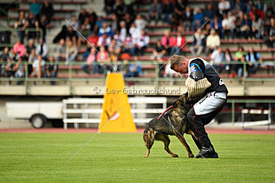 Maffia van Blutsenhof