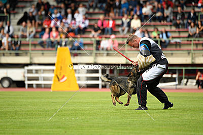 Maffia van Blutsenhof