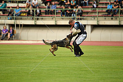 Maffia van Blutsenhof