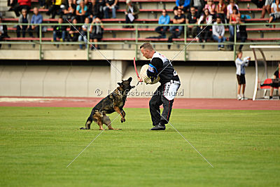 Maffia van Blutsenhof