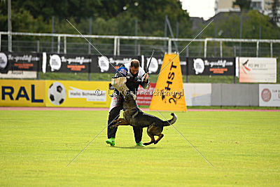 Maffia van Blutsenhof