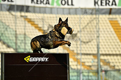 Maffia van Blutsenhof