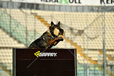 Maffia van Blutsenhof