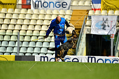 Maffia van Blutsenhof