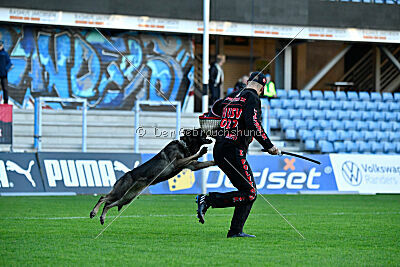 Mafi z Kurimského háje