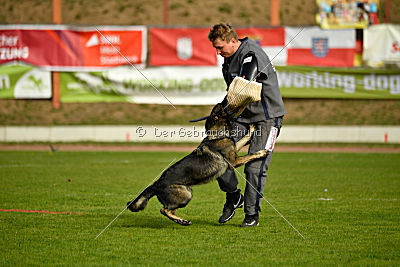 Magli z Kurimskeho haje