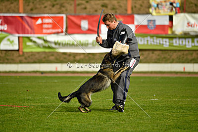 Magli z Kurimskeho haje