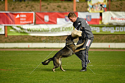 Magli z Kurimskeho haje