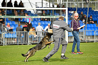 Magli z Kurimskeho haje