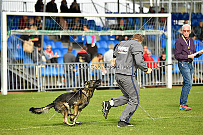 Magli z Kurimskeho haje