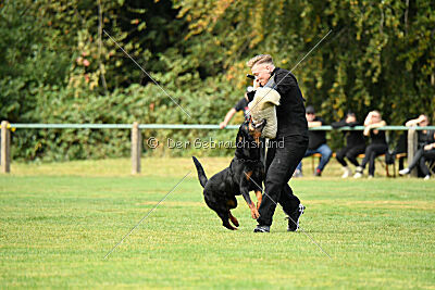 Magnus von der Fehnkolonie