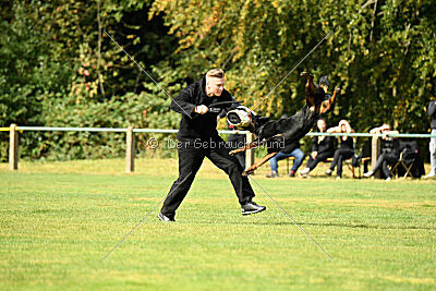 Magnus von der Fehnkolonie