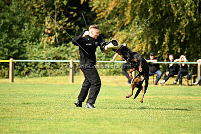 Magnus von der Fehnkolonie