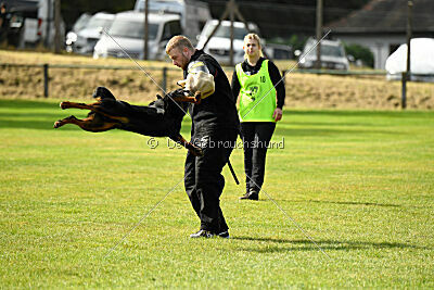 Magnus von der Fehnkolonie