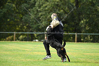 Magnus von der Fehnkolonie