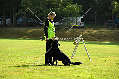 Magnus von der Fehnkolonie