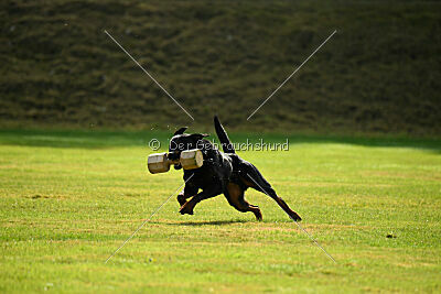 Magnus von der Fehnkolonie