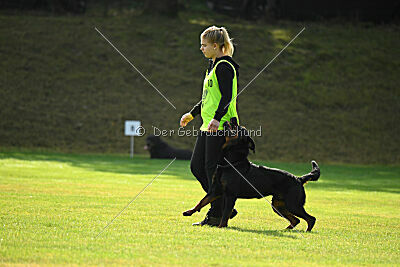 Magnus von der Fehnkolonie