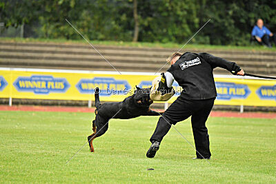 Magnus von der Fehnkolonie