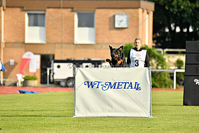 Magnus von der Fehnkolonie