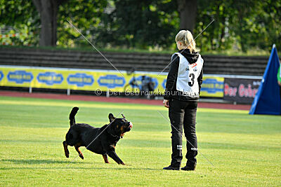 Magnus von der Fehnkolonie