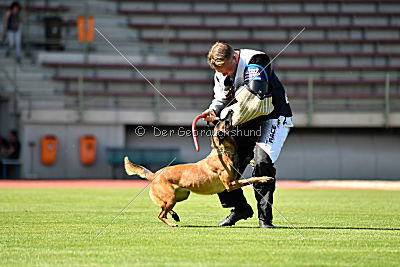 Majka de Alphaville Bohemia