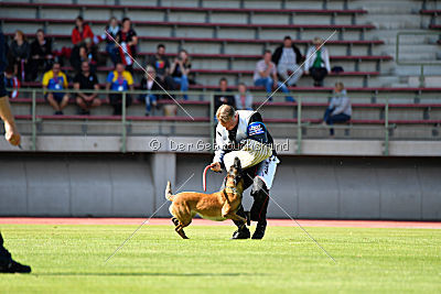 Majka de Alphaville Bohemia