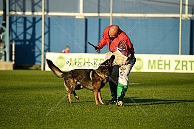 Malik vom Herrenhaus