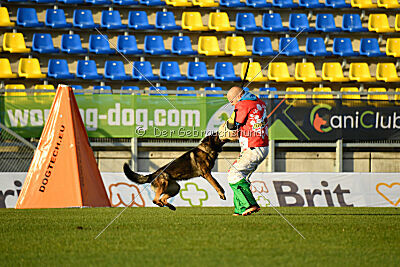 Malik vom Herrenhaus