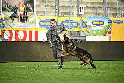 Malik vom Herrenhaus