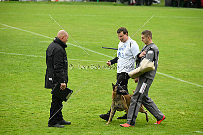 Malimaniac ́s Goldfinger