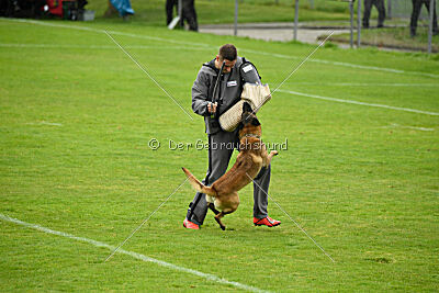 Malimaniac ́s Goldfinger