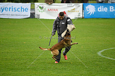 Malimaniac ́s Goldfinger