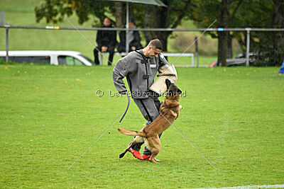 Malimaniac ́s Goldfinger