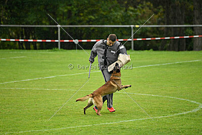 Malimaniac ́s Goldfinger