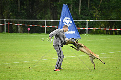 Malimaniac ́s Goldfinger