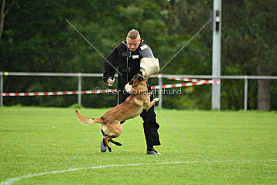 Malimaniac ́s Goldfinger