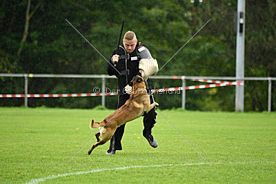 Malimaniac ́s Goldfinger