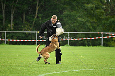 Malimaniac ́s Goldfinger