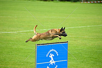 Malimaniac ́s Goldfinger