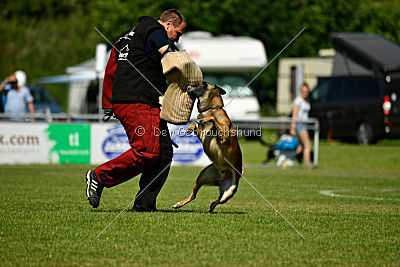 Malimaniac's Daft Punk