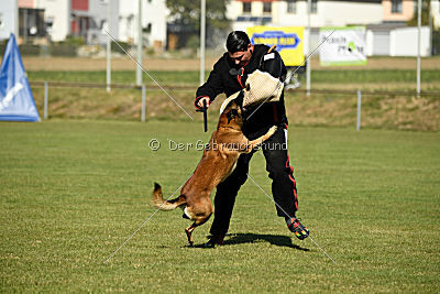 Malimaniac's Daft Punk