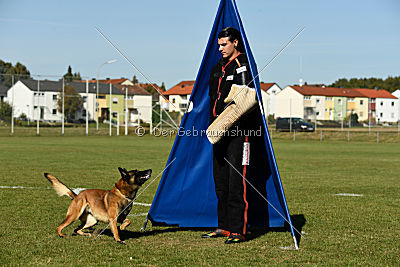 Malimaniac's Daft Punk