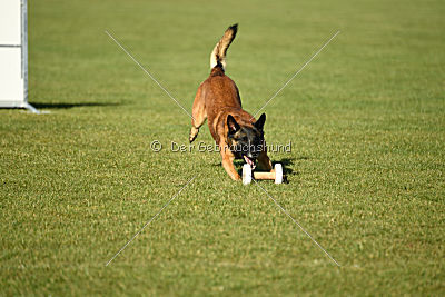 Malimaniac's Daft Punk