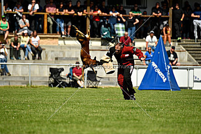 Malimaniac's Daft Punk